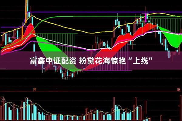 富鑫中证配资 粉黛花海惊艳“上线”